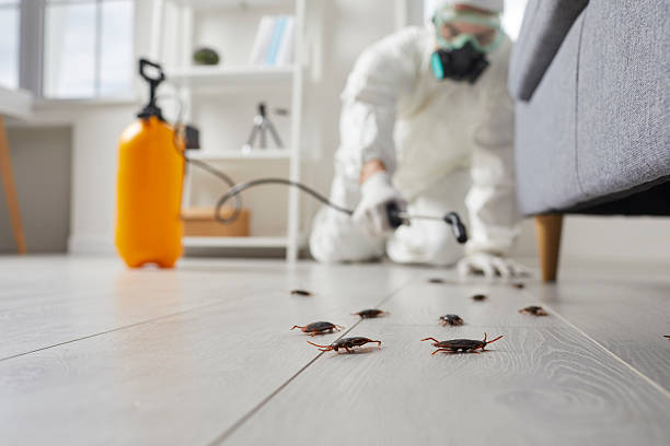 Commercial Kitchen Cockroach Control in Bayard